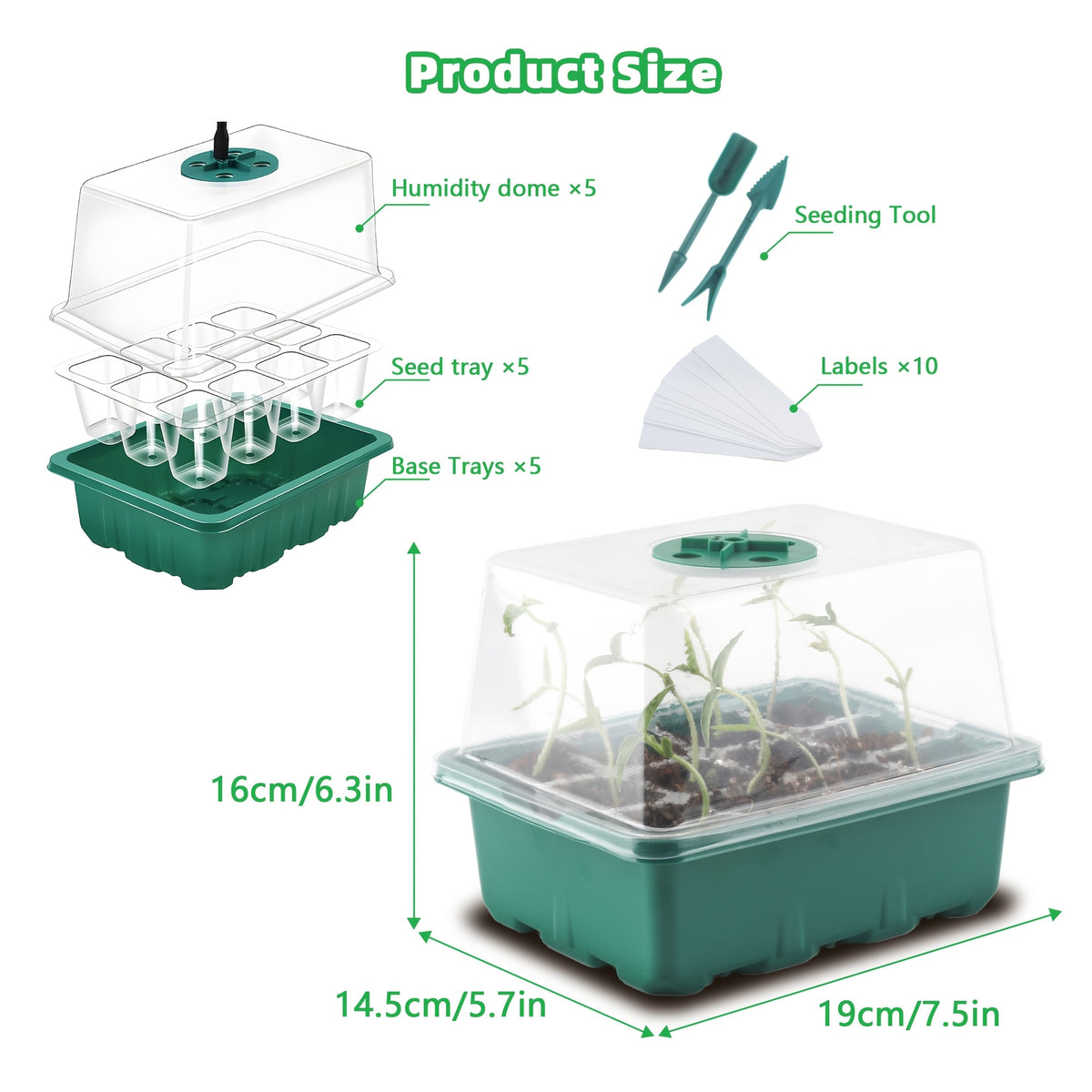 Seed Starting Trays with Grow Light, 5-Set Seedling Kit with Elevated Adjustable Humidity Domes and Clear Cell Trays for Greenhouse Gardening
