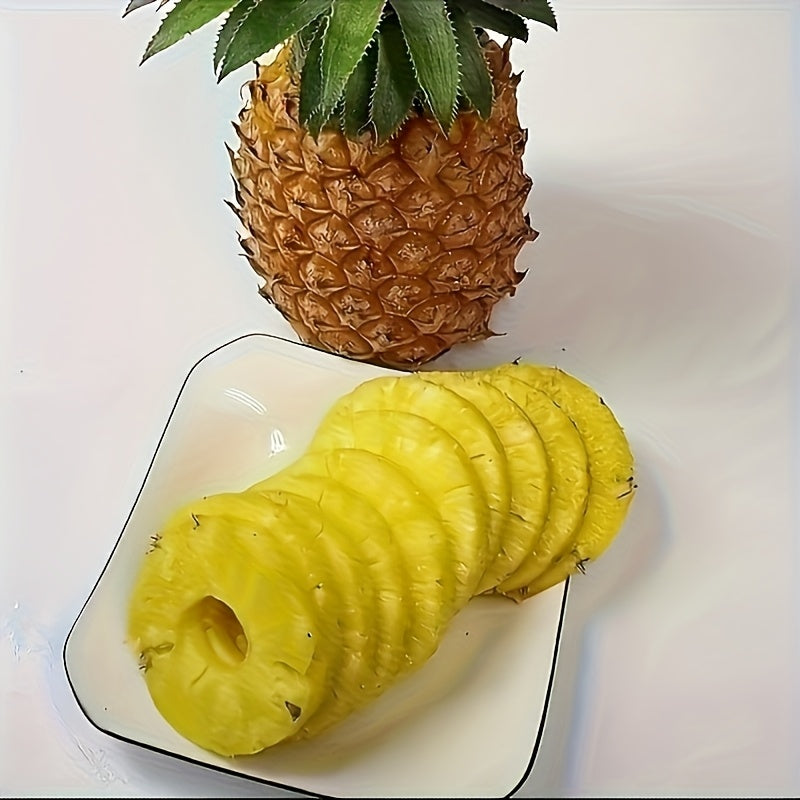 Pineapple Corer and Slicer with Listed Stainless Steel Design, Green Handle or Stainless Steel Options for Fresh Fruit Preparation and Home Kitchen Snacks