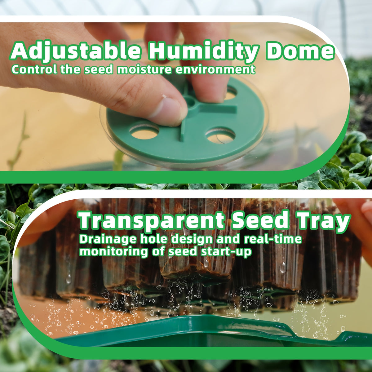 Seed Starting Trays with Grow Light, 5-Set Seedling Kit with Elevated Adjustable Humidity Domes and Clear Cell Trays for Greenhouse Gardening