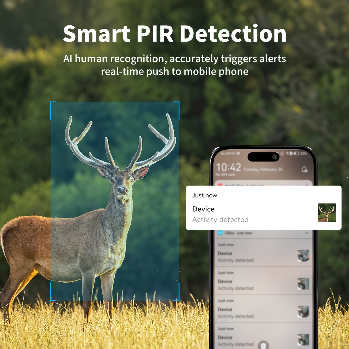 Cellular Game Camera with 4G LTE, Solar Charging, Phone App Live View and Night Vision, Motion Detection and Two-Way Audio in Camouflage 1-Pack or 3-Pack