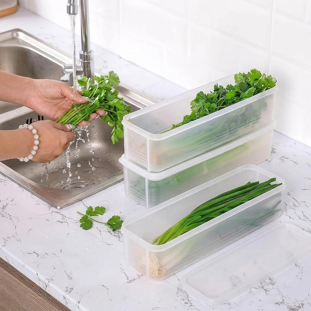 Rectangular Refrigerator Food Containers with Lids, Listed 4-Pack Reusable BPA-Free Plastic Organizers for Onions, Herbs, Garlic, Noodles and Eggs, Hand Wash Care