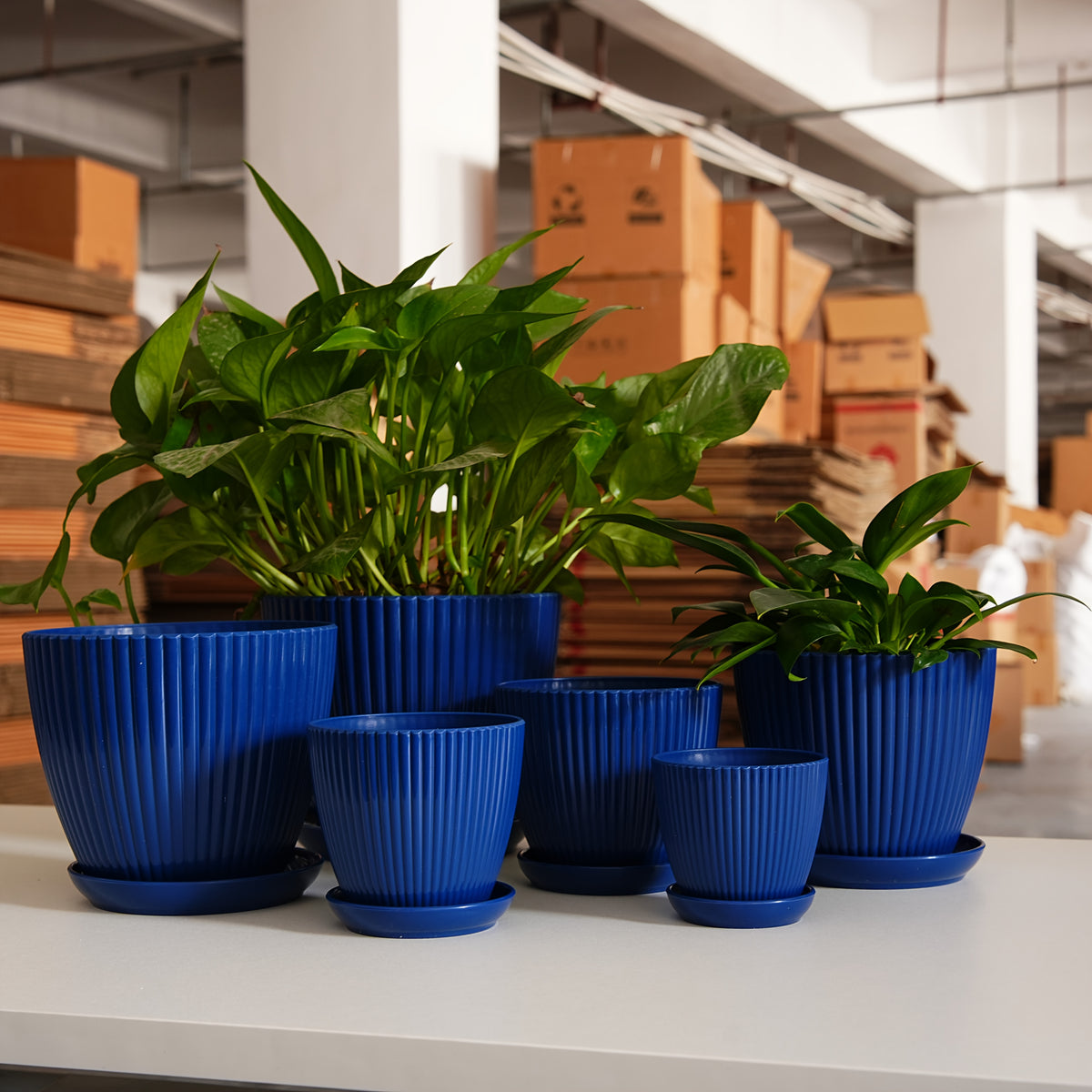 Resin Planter Pots Set with Listed Six-Pack Assortment and 3.5 to 7.5-Inch Size Labels, White, Light Green or Dark Blue Options for Indoor Plant Displays
