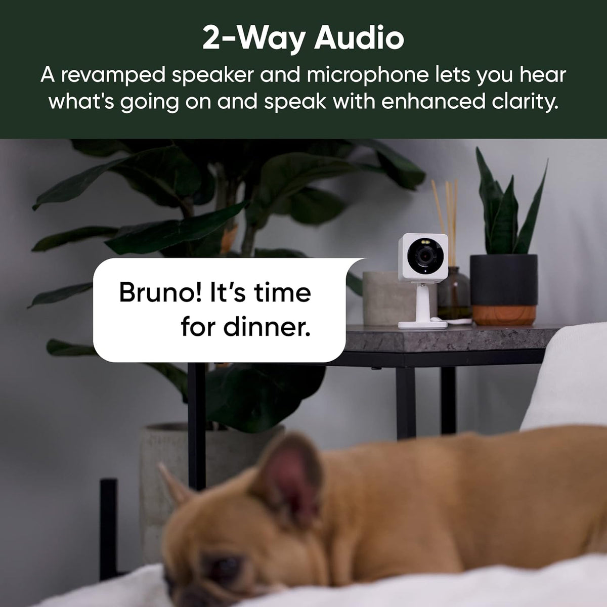 WYZE Cam OG Wired WiFi Security Camera with 1080p Video, Color Night Vision, 40lm Spotlight, Motion and Sound Alerts, Two-Way Audio in Black or White