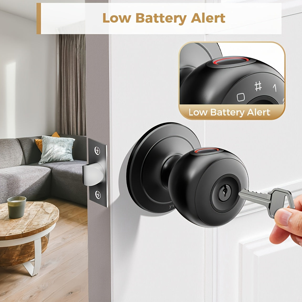 Replaceable-Battery Smart Door Knob by Arpha in Black with Listed Fingerprint, Passcode, Tuya App and Physical Key Access, Passage and Privacy Modes, Battery Excluded