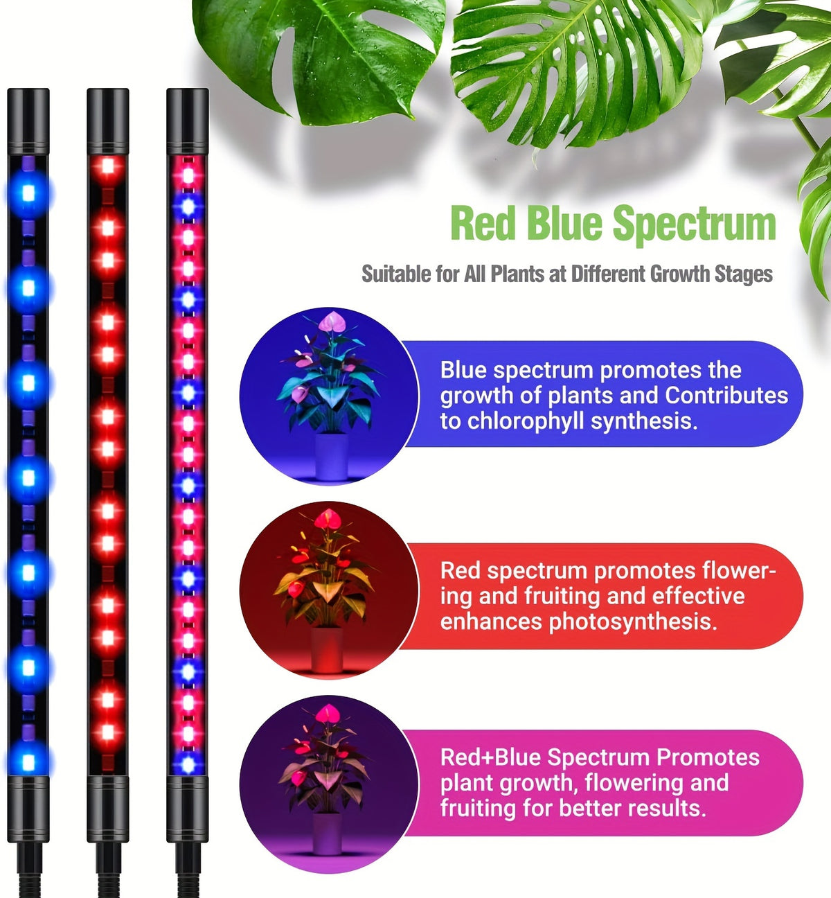 Tripod Grow Light for Indoor Plants with Remote Control, Auto On/Off Timer and Listed Red Blue White Spectrum, Four-Head or Five-Head Model Options