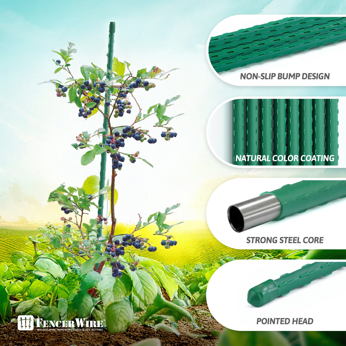 Metal Plant Support Stakes 25-Pack by CAPHAUS, Plastic-Coated Ridged Garden Poles in 3 to 7 Foot Options for Tomatoes, Beans, Cucumbers and Potted Plants