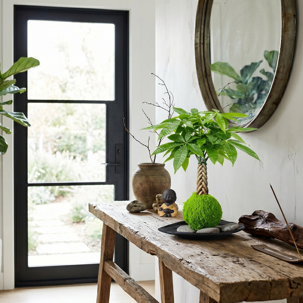 Live Money Tree Houseplant, Pachira Aquatica with Pot, Metal Bucket or Kokedama Bowl Options for Indoor Home and Office Decor, Birthdays and Housewarming Gifts
