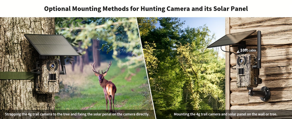 4G LTE Trail Camera with Solar Panel and SIM Card, HD Live View, 0.2s Motion Trigger and Low-Glow Night Vision for Wildlife, One to Three Camera Options