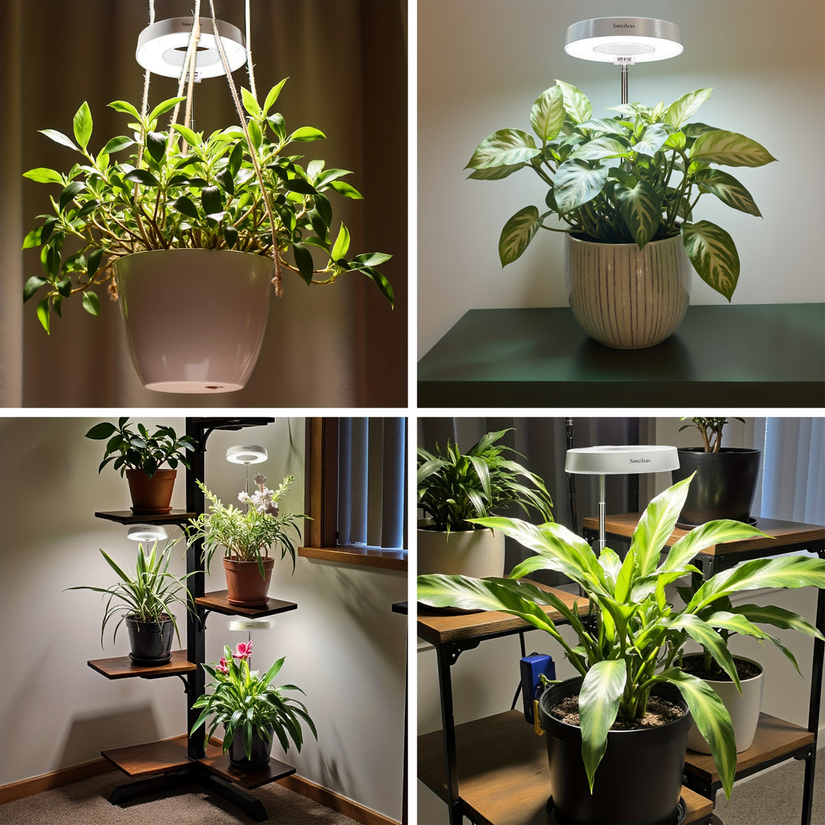 Full Spectrum Grow Light 3-Piece Set by Smeileas, Adjustable Brightness and Height with 3/6/9 Hour Auto On/Off Timer for Indoor Plant Care, White