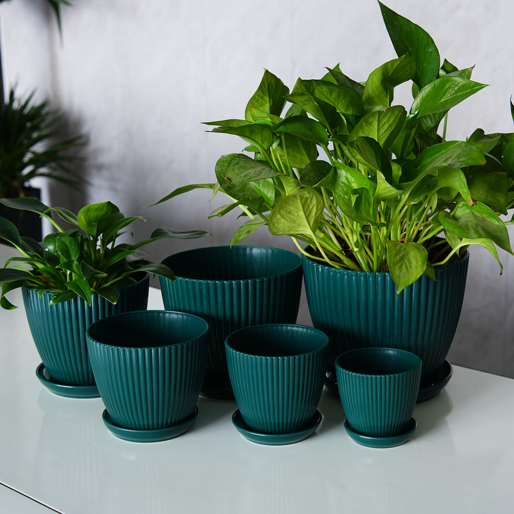Resin Planter Pots Set with Listed Six-Pack Assortment and 3.5 to 7.5-Inch Size Labels, White, Light Green or Dark Blue Options for Indoor Plant Displays