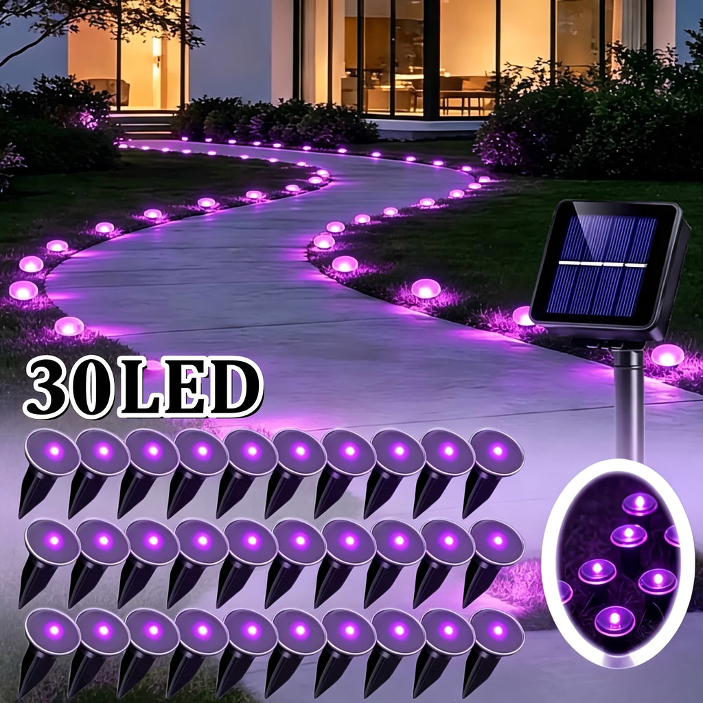 Solar Pathway String Lights with Listed 30 LEDs and Stake Design, Six Warm, White, Purple, Blue, Red and Green Light Options for Patio and Garden Event Decor