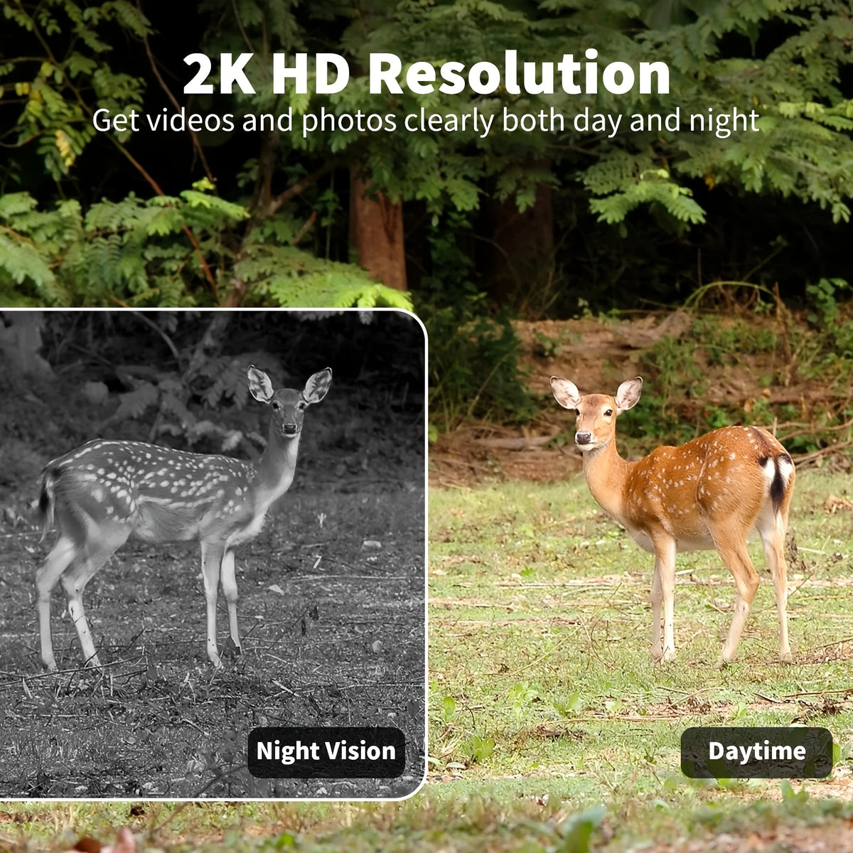 2K Cellular Trail Camera with Solar Panel and SIM Card, Listed 4G LTE Remote Pan Tilt, Spotlight Color Night Vision and Two-Way Audio in Camouflage One- or Two-Camera Packs