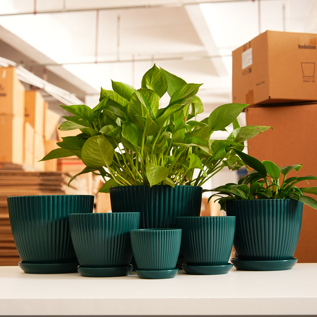Resin Planter Pots Set with Listed Six-Pack Assortment and 3.5 to 7.5-Inch Size Labels, White, Light Green or Dark Blue Options for Indoor Plant Displays