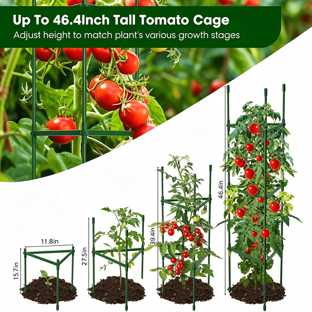 Triangle-Star Tomato Cage Garden Trellis with Listed 46.4-Inch Size, Three-, Five- or Six-Set Options for Supporting Compatible Climbing Vegetables and Flowers