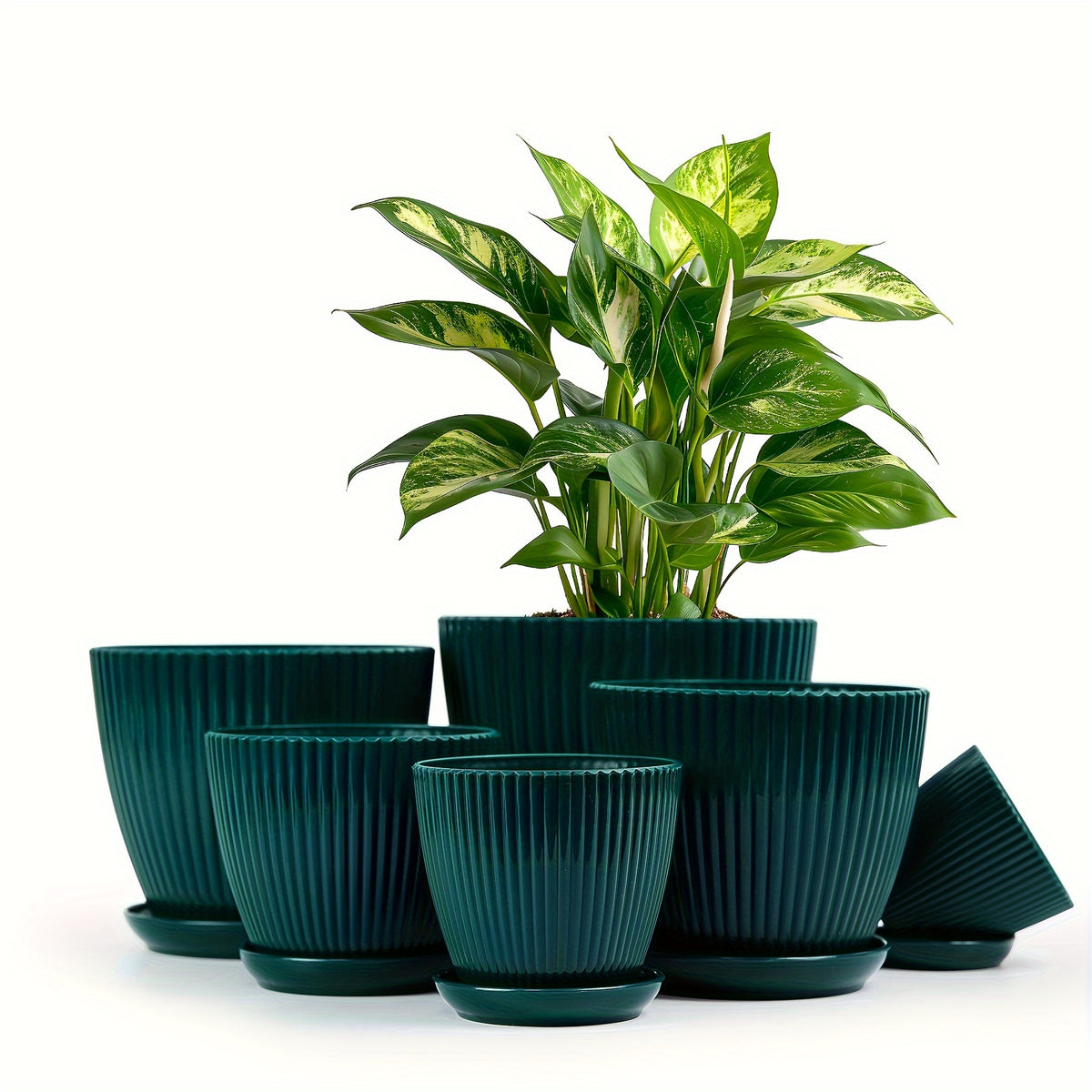 Resin Planter Pots Set with Listed Six-Pack Assortment and 3.5 to 7.5-Inch Size Labels, White, Light Green or Dark Blue Options for Indoor Plant Displays