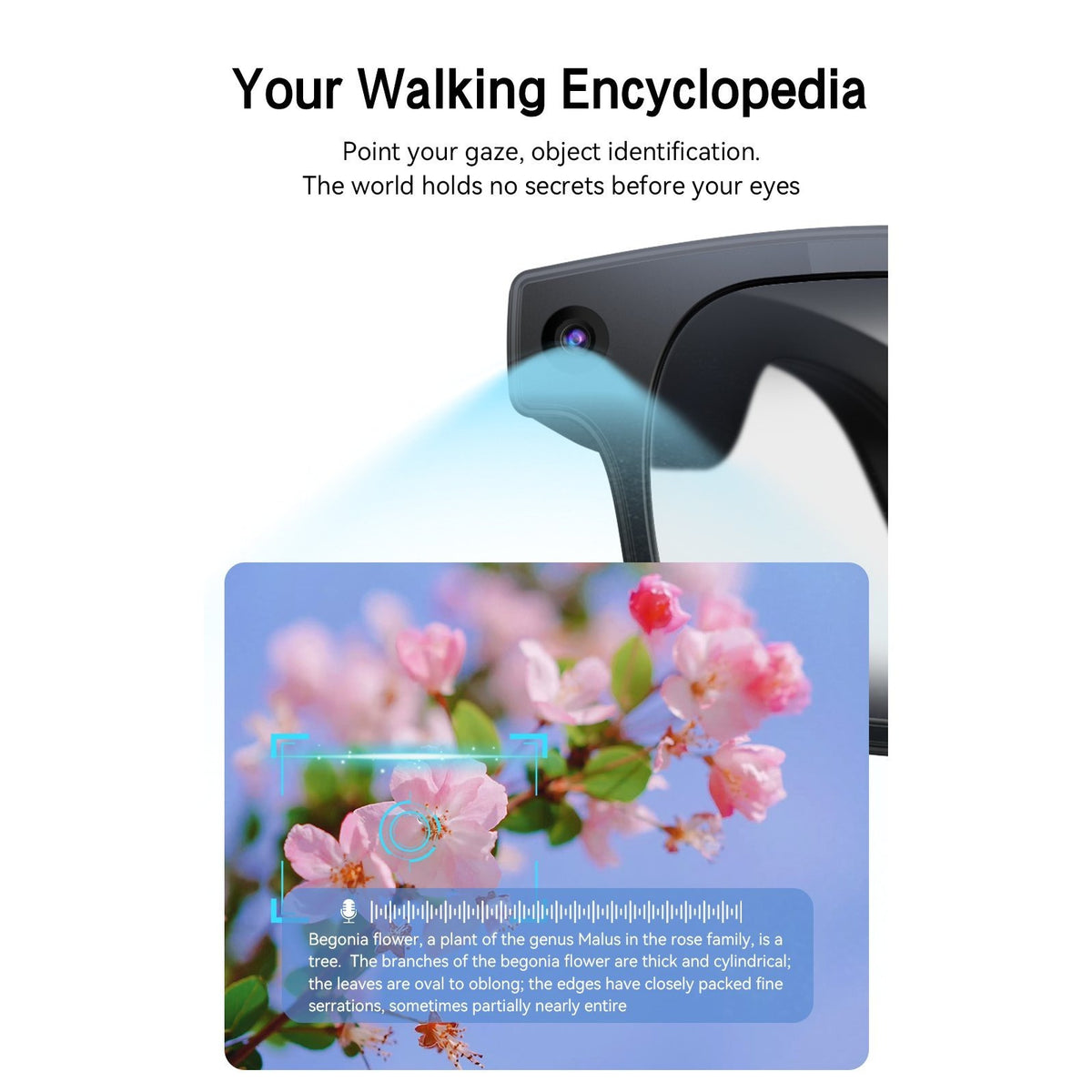8MP-Labeled AI Camera Smart Glasses in Black with Video and Audio Recording, Bluetooth Calls and Music, Touch Controls and Listed Translation Features