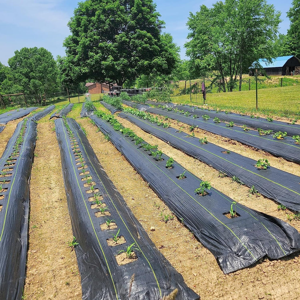 Woven Landscape Fabric Weed Barrier, 3.2oz Garden Ground Cover in 8 x 300 ft or 5 x 100 ft Rolls for Flower Beds, Mulch and Gravel Landscaping