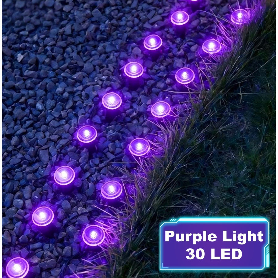 Solar Pathway String Lights with Listed 30 LEDs and Stake Design, Six Warm, White, Purple, Blue, Red and Green Light Options for Patio and Garden Event Decor