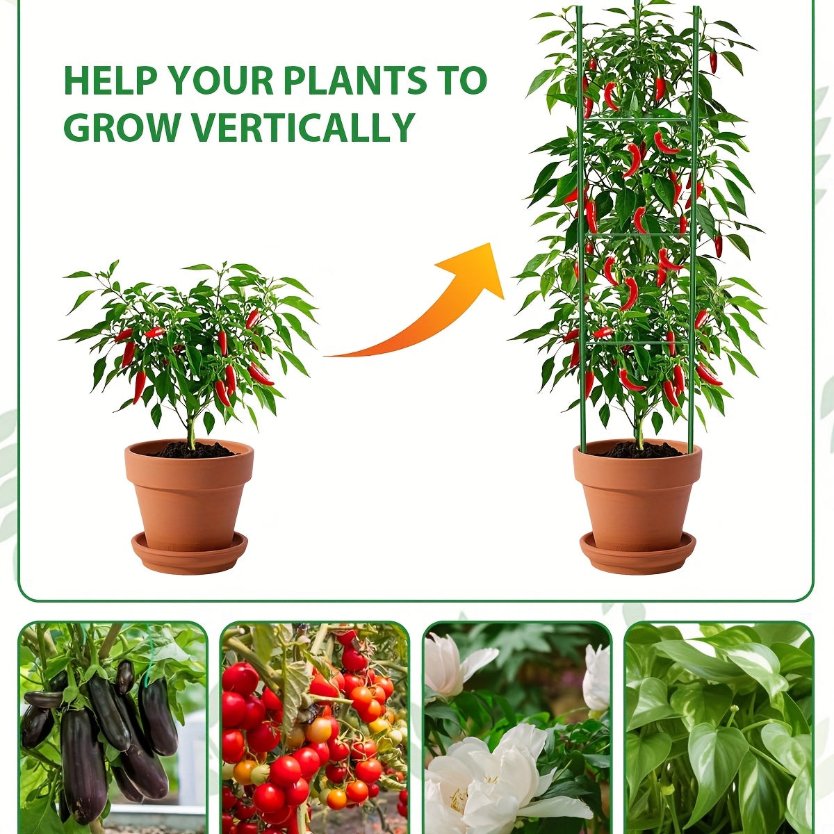 Triangle-Star Tomato Cage Garden Trellis with Listed 46.4-Inch Size, Three-, Five- or Six-Set Options for Supporting Compatible Climbing Vegetables and Flowers
