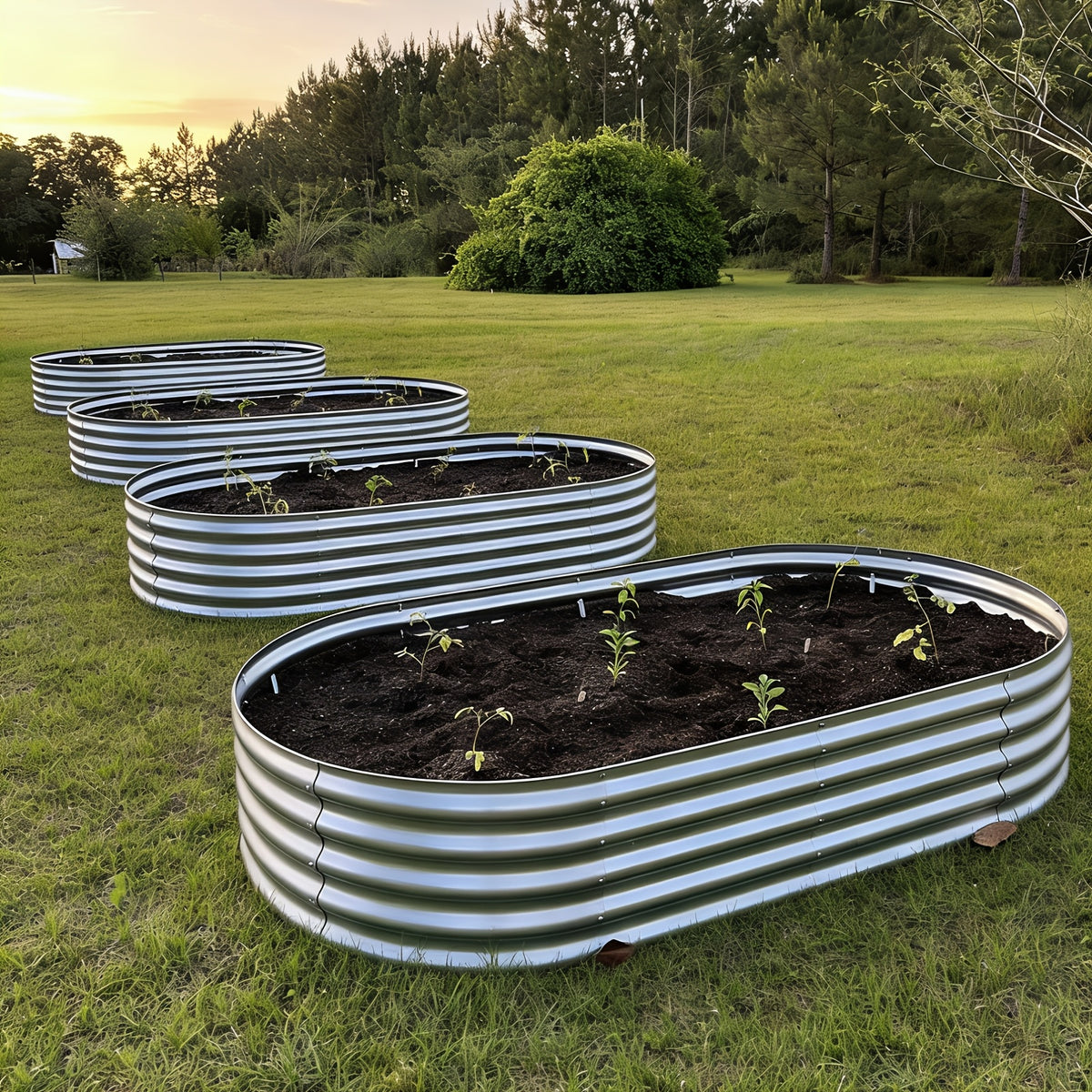 Metal Raised Garden Bed Kits with Galvanized Oval Planter Wording, Listed 4x2x1ft and 8x4x1ft Multipack Options plus Single-Bed Label for Outdoor Garden Planning