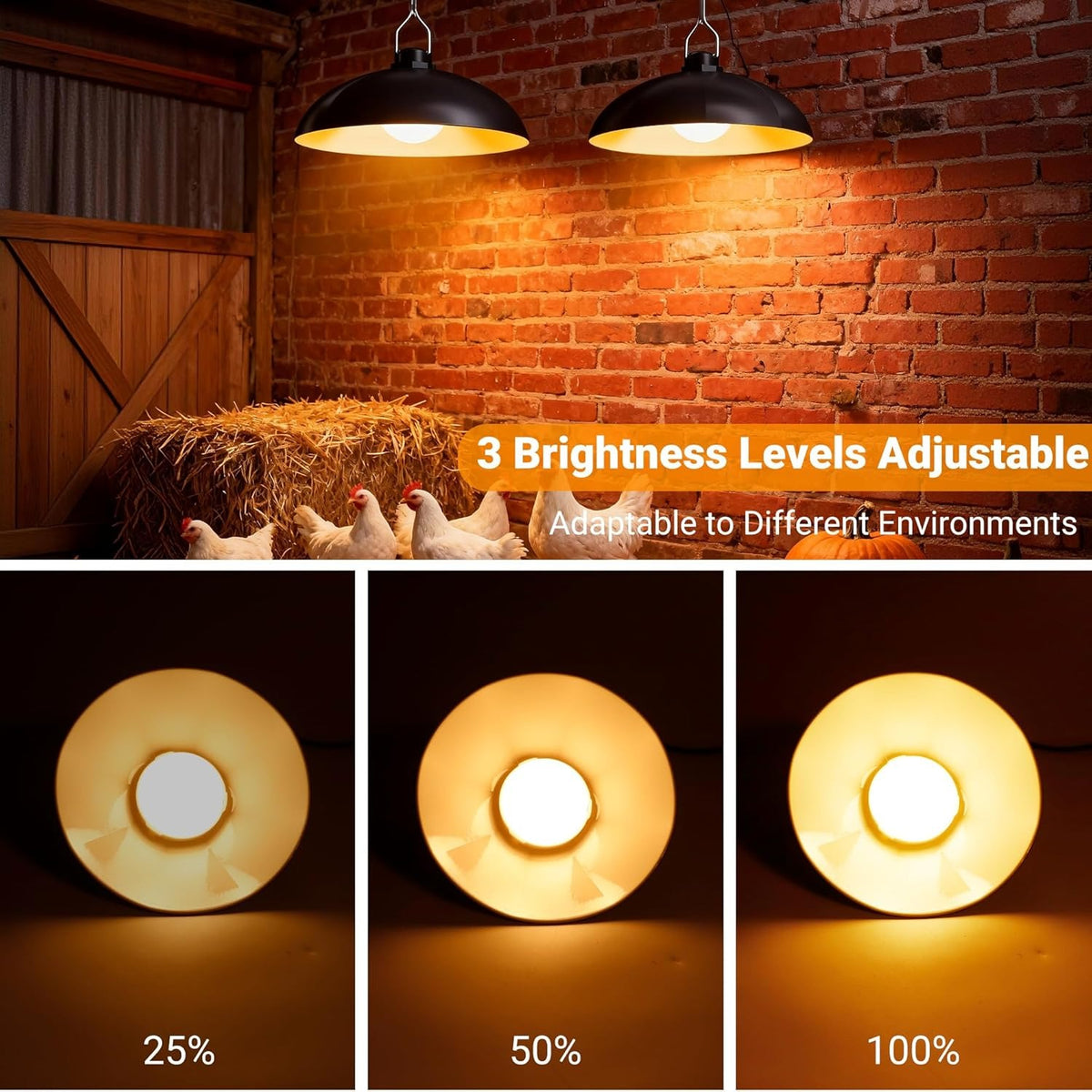 Solar Chicken Coop Pendant Light Set with Two Lamps, Remote, 3/5/8-Hour Timer, Listed 2400mAh Battery and 16.4ft Cord in White Light or Warm Light Options
