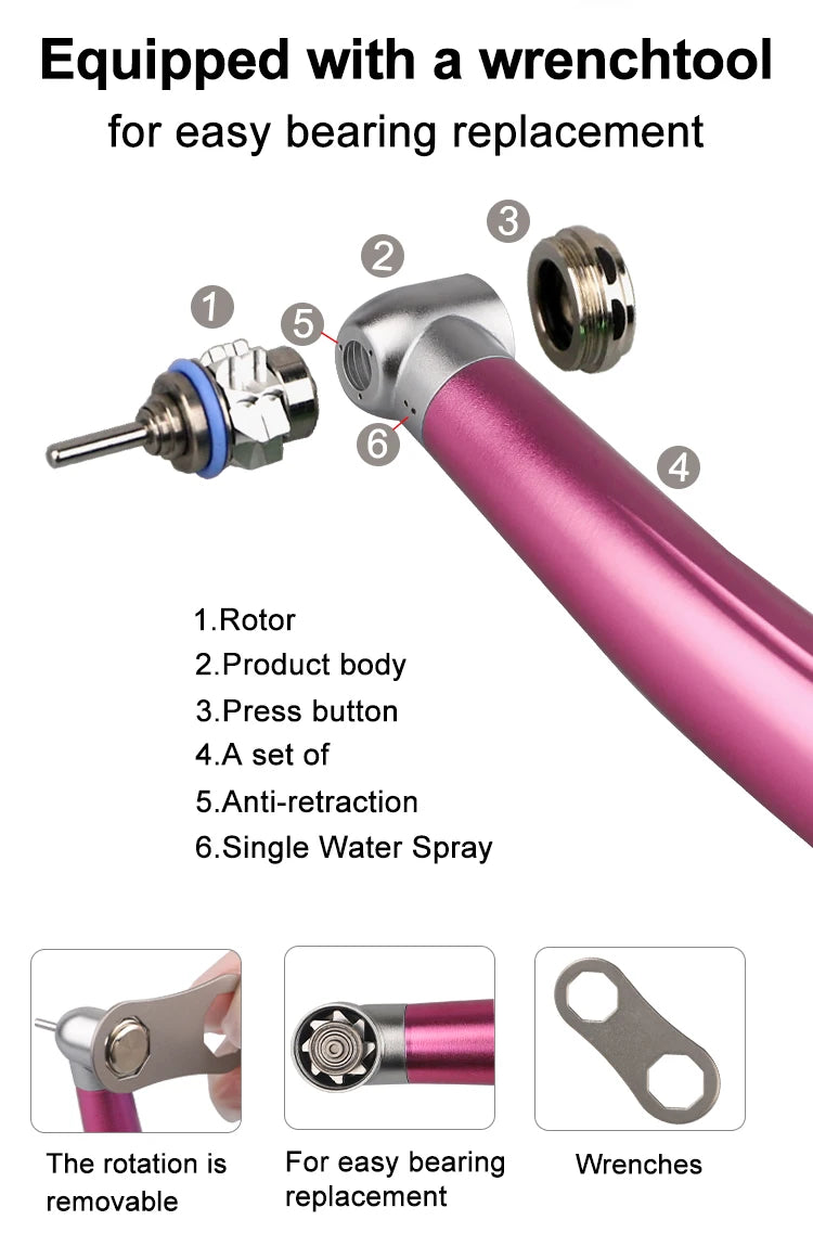 Dental Handpiece Set, 4-Piece High and Low Speed Air Turbine Kit with Straight Handpiece, Contra Angle and Air Motor, 2 or 4 Hole Options
