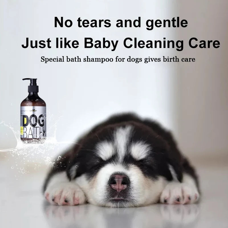 Pet Shampoo for Bath-Time Grooming, Dog 500ml and Cat 500ml Options Plus a 100ml Pet Shampoo Choice for At-Home Coat Cleaning Routines