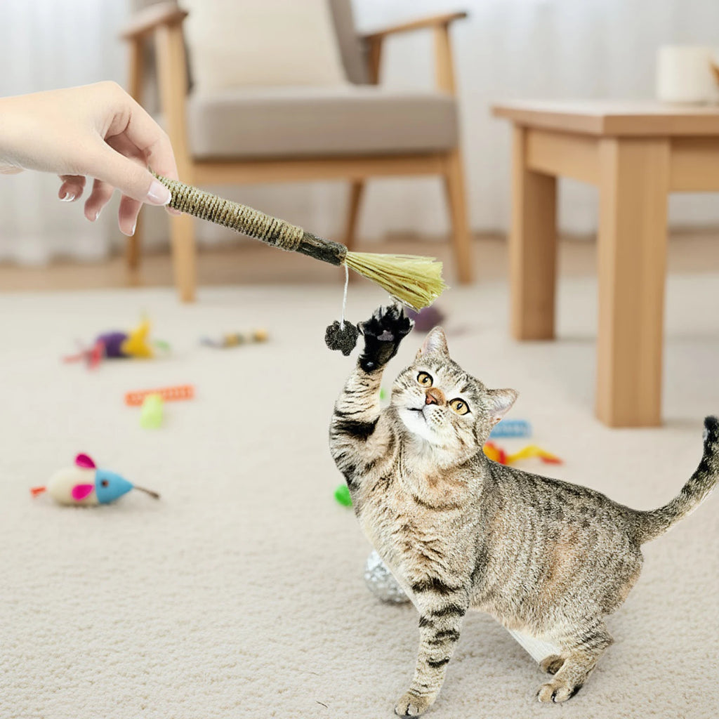 Silvervine Cat Sticks with Hemp Rope, Natural Wood Pet Play Toys for Supervised Indoor Exploration and Interactive Sessions, Pack Options from 3 to 20 Pieces
