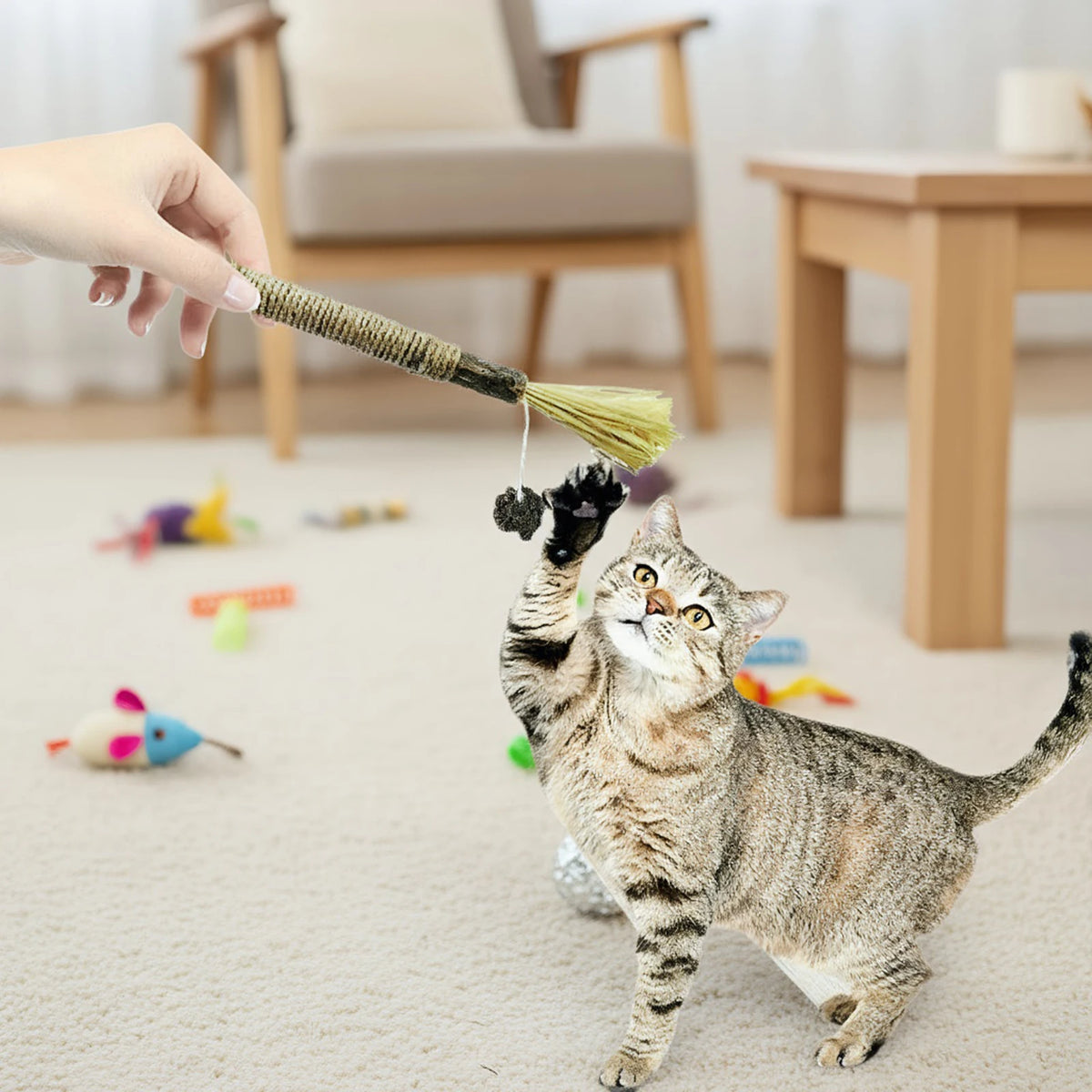 Silvervine Cat Sticks with Hemp Rope, Natural Wood Pet Play Toys for Supervised Indoor Exploration and Interactive Sessions, Pack Options from 3 to 20 Pieces