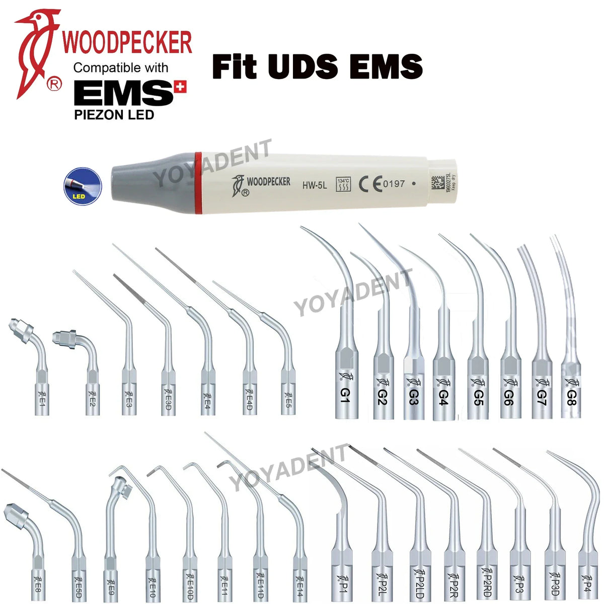 Ultrasonic Scaler Handpiece and Tip Options by Woodpecker, HW-5L LED Handpiece or P, E and G Series Tips for Compatible Dental Equipment