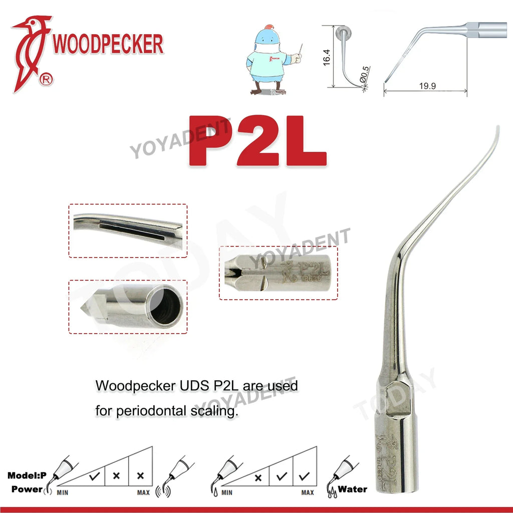 Ultrasonic Scaler Handpiece and Tip Options by Woodpecker, HW-5L LED Handpiece or P, E and G Series Tips for Compatible Dental Equipment