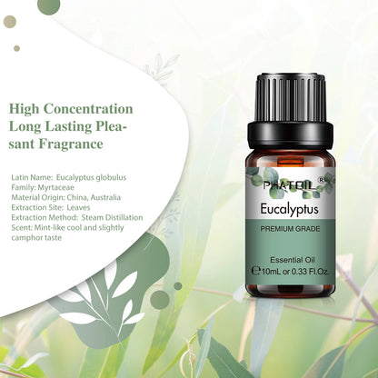 10ml Aroma Oil by PHATOIL for Compatible Diffusers and Home Fragrance, Amber Bottle with Lavender, Eucalyptus, Vanilla, Peppermint and Other Scent Options