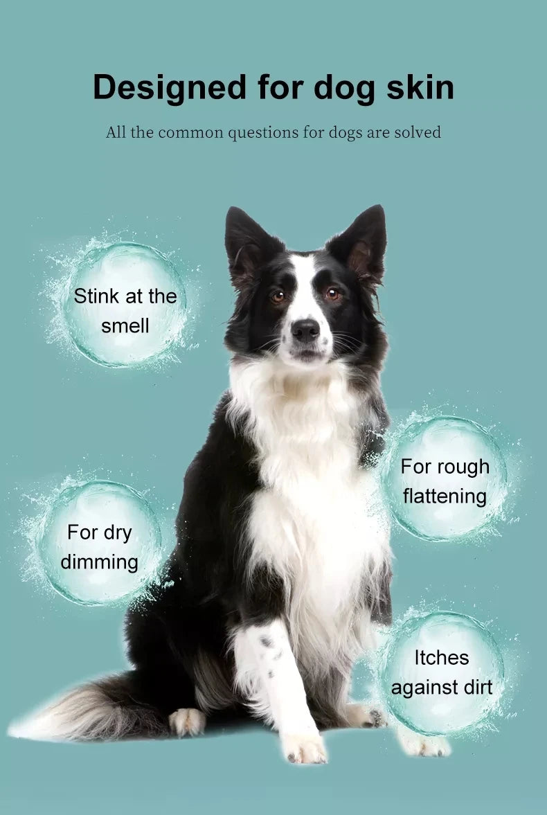Pet Shampoo for Bath-Time Grooming, Dog 500ml and Cat 500ml Options Plus a 100ml Pet Shampoo Choice for At-Home Coat Cleaning Routines