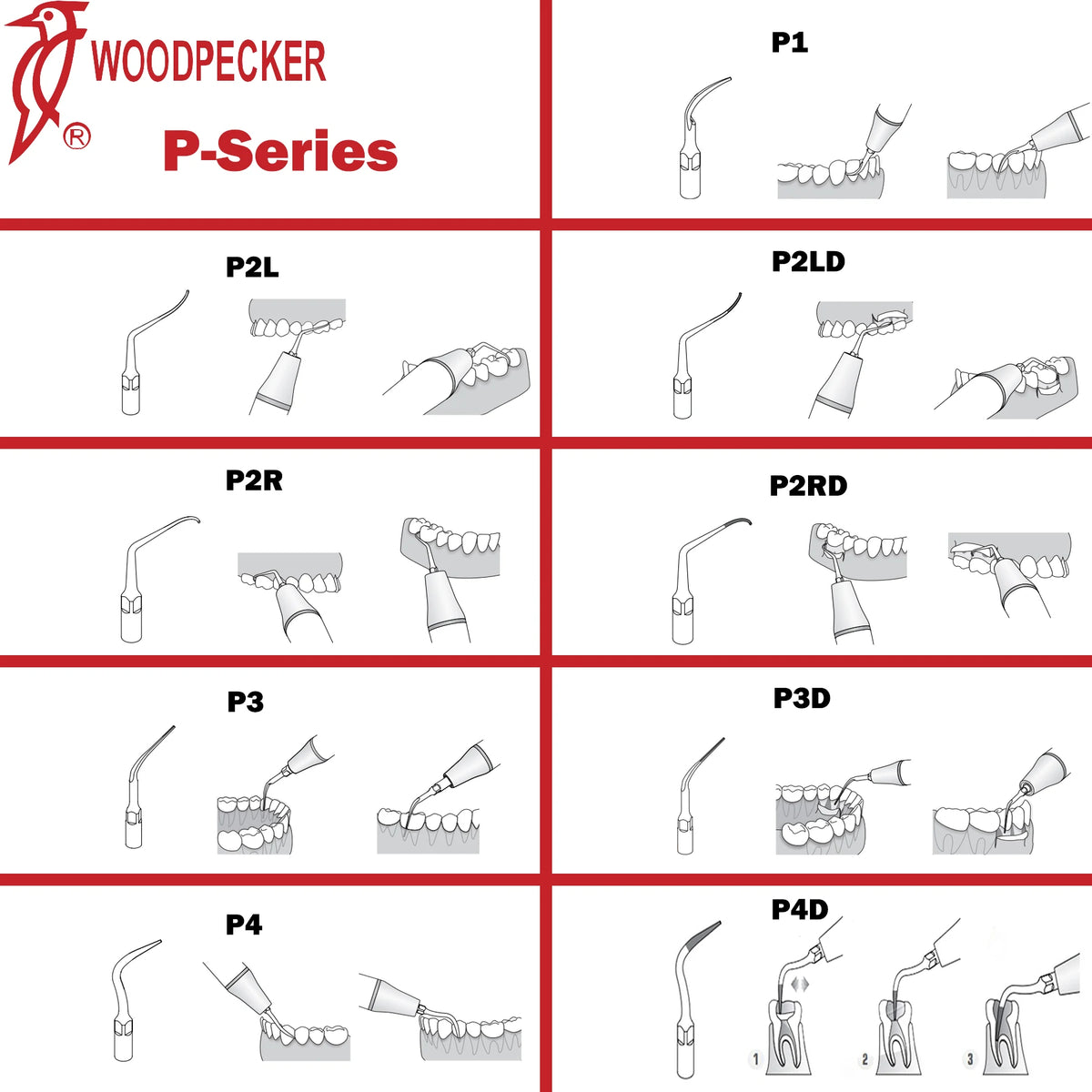 Ultrasonic Scaler Handpiece and Tip Options by Woodpecker, HW-5L LED Handpiece or P, E and G Series Tips for Compatible Dental Equipment