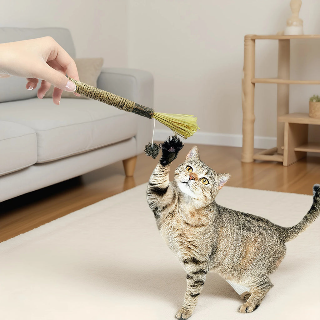 Silvervine Cat Sticks with Hemp Rope, Natural Wood Pet Play Toys for Supervised Indoor Exploration and Interactive Sessions, Pack Options from 3 to 20 Pieces