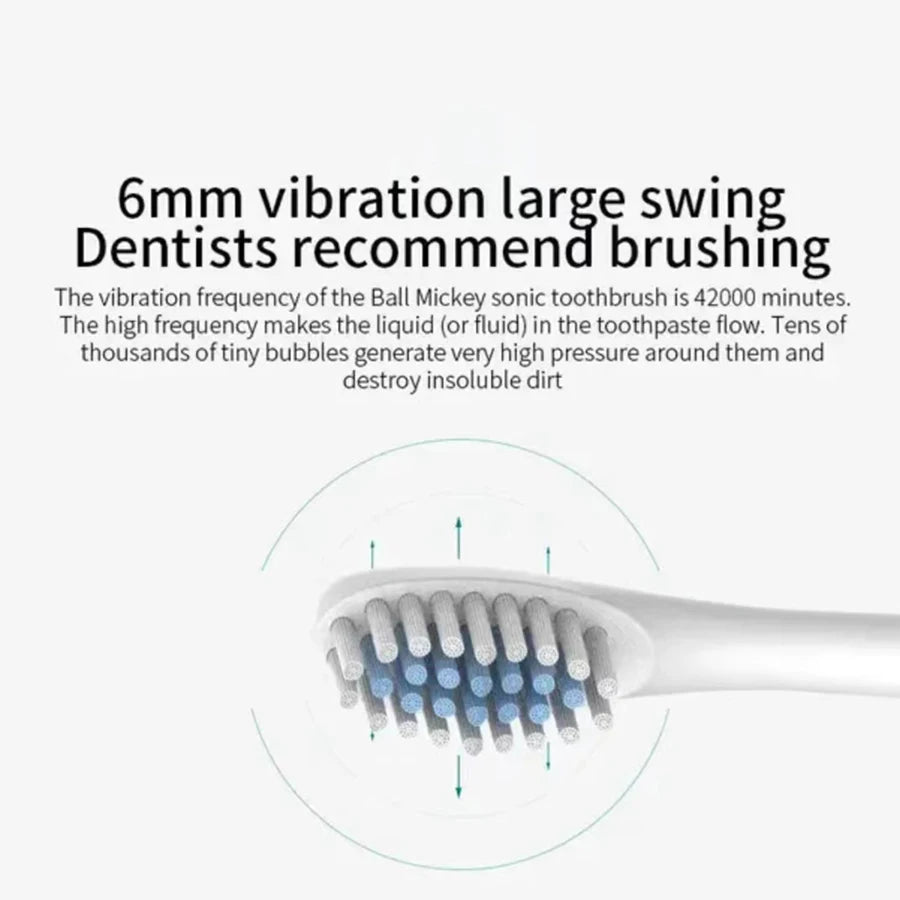 USB Rechargeable Electric Toothbrush for Adults, X3 Six-Mode Soft Bristle Brush with Two-Minute Cycle, 30-Second Reminders and Four-Head Option Labels