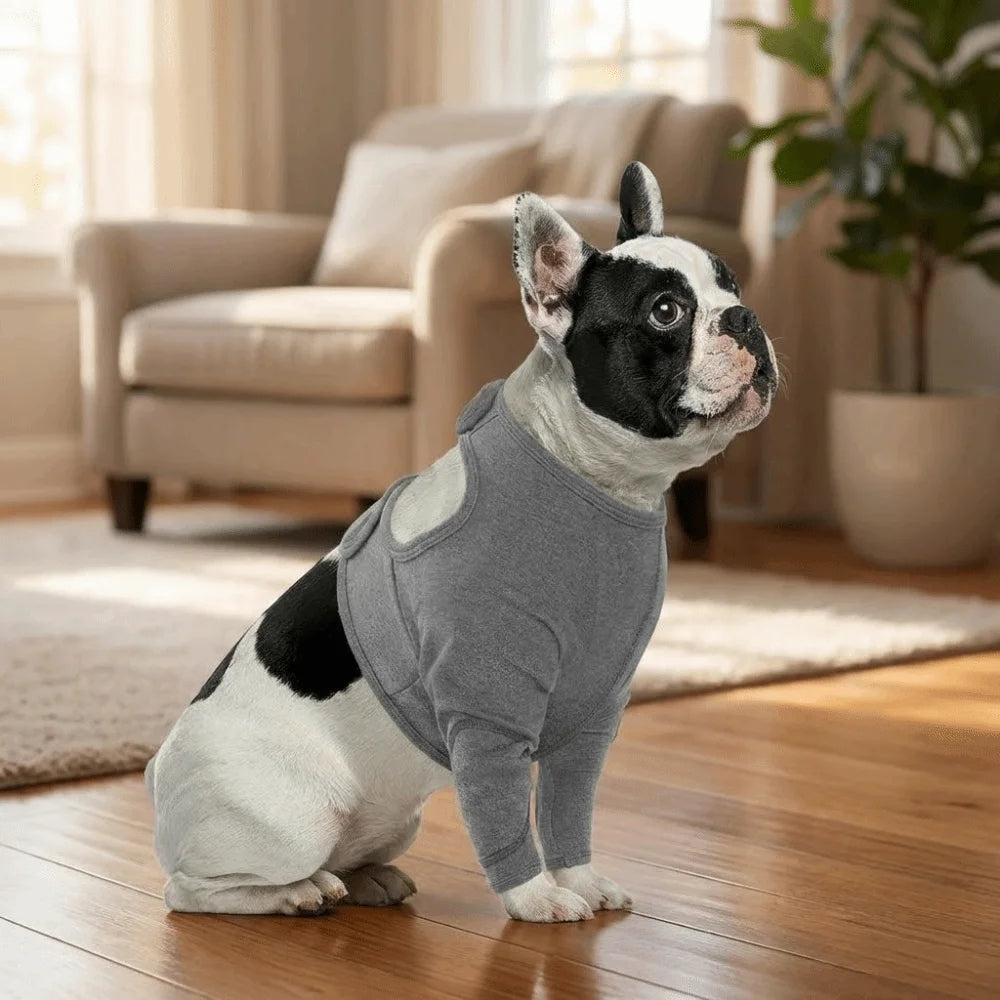 Dog Leg Sleeve in Grey Polyester, Single Stretch Fabric Pet Leg Cover with Six Size Options from S to 3XL and Chest, Neck and Sleeve Measurement Guide