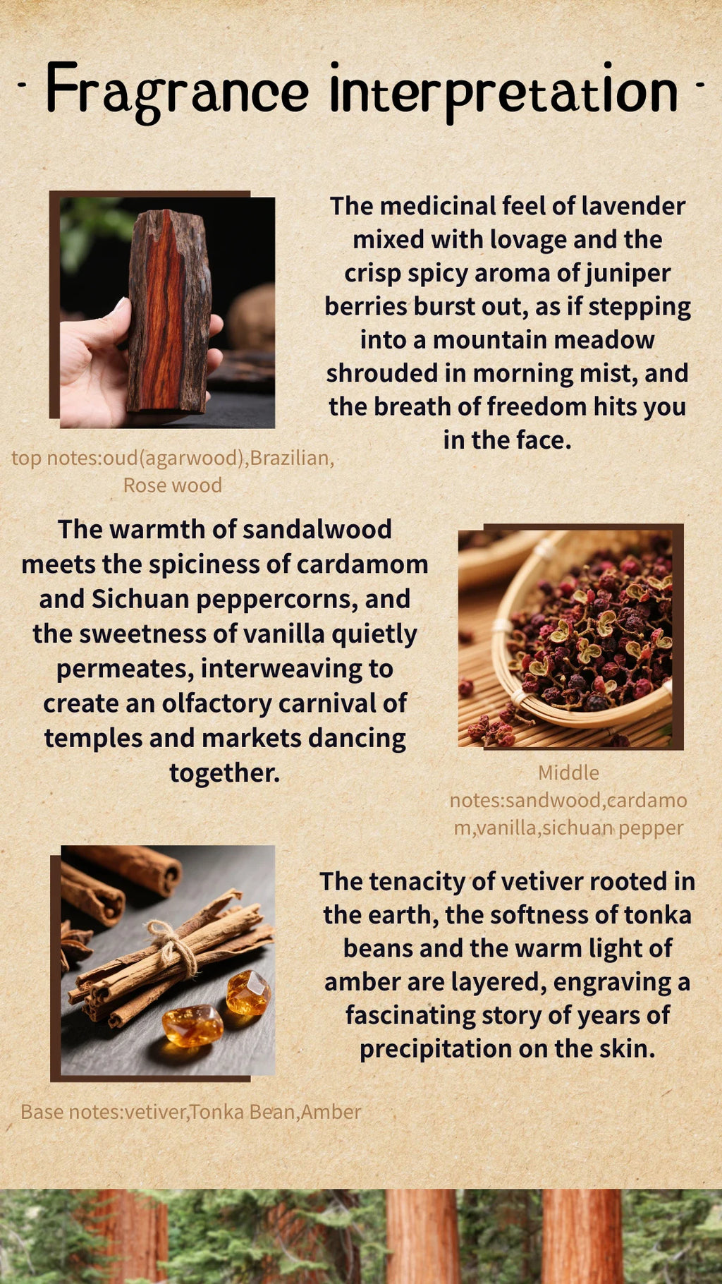 Woody Spicy Perfume with Ten Numbered Unisex, Men's and Women's Options, Listed Rare Oud, Sichuan Pepper and Vetiver Profile for Personal Scent Selection and Gifts