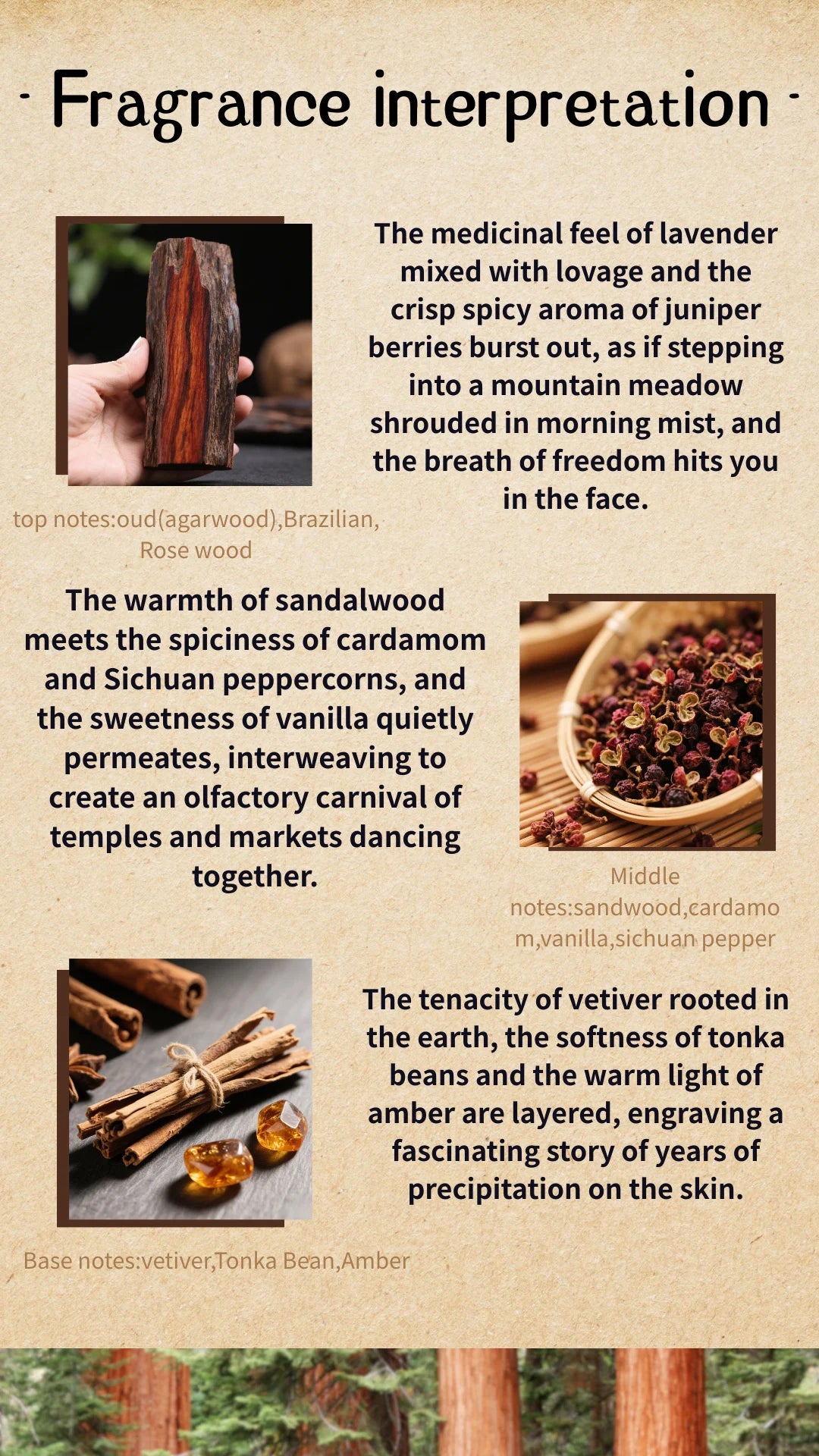 Woody Spicy Perfume with Ten Numbered Unisex, Men's and Women's Options, Listed Rare Oud, Sichuan Pepper and Vetiver Profile for Personal Scent Selection and Gifts