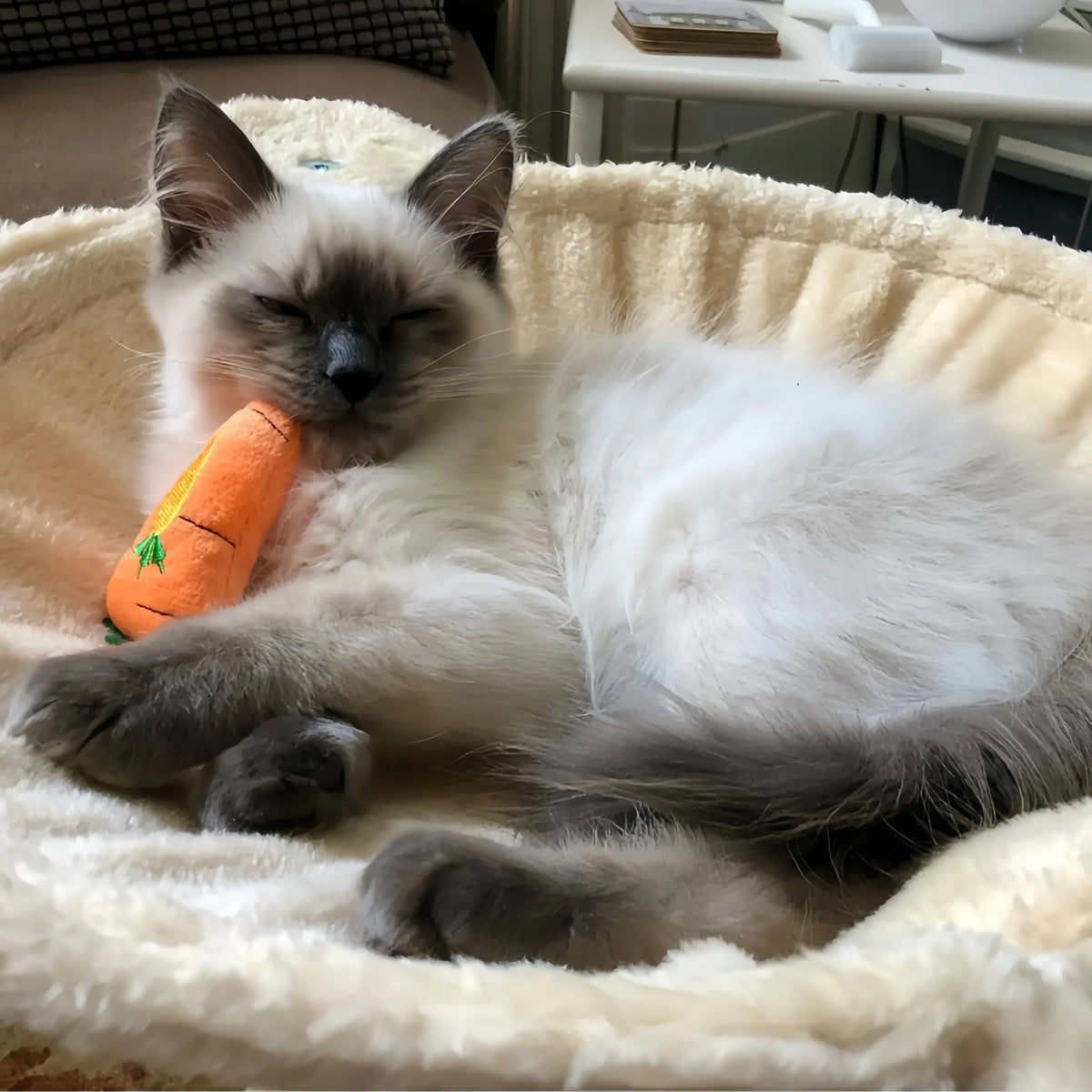 Mini Catnip Plush Cat Toys in Random Assortment Packs, 10, 15, 20, 30, 50 or 100 Pieces with Built-In Catmint Wording for Supervised Indoor Pet Play