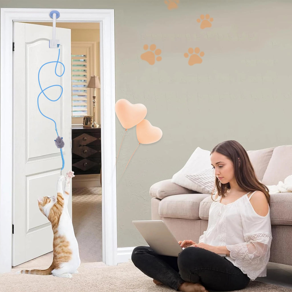 Rechargeable Door Hanging Cat Toy with Three Modes, Retractable Teaser Rope and Three Catnip Mouse Accessories, Blue Indoor Toy for Supervised Play