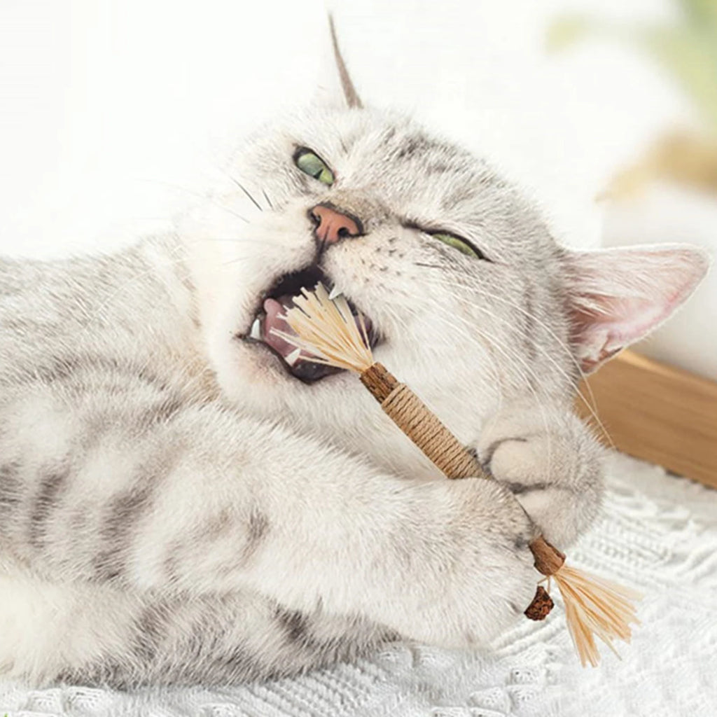 Silvervine Cat Sticks with Hemp Rope, Natural Wood Pet Play Toys for Supervised Indoor Exploration and Interactive Sessions, Pack Options from 3 to 20 Pieces