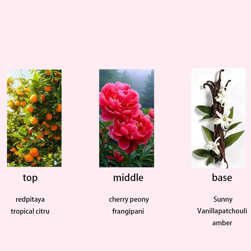 Butterfly Bottle Perfume for Women, 35ml Floral and Vanilla Options Plus 50ml Jasmine, Lemon or Grapefruit Fragrance Choices for Daily Wear and Gifts