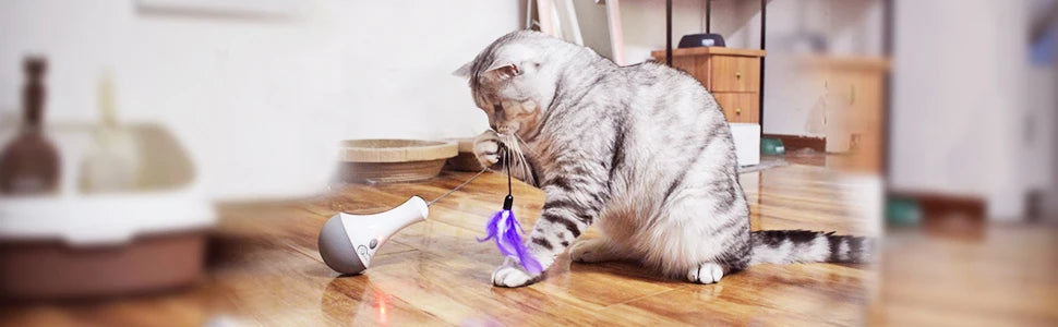 Automatic Feather Cat Toy by DOEL with 360-Degree Random Rotation, Two Interchangeable Feathers and 15-Minute Auto Shutoff for Supervised Indoor Play, White