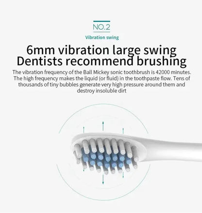 USB Rechargeable Electric Toothbrush for Adults, X3 Six-Mode Soft Bristle Brush with Two-Minute Cycle, 30-Second Reminders and Four-Head Option Labels