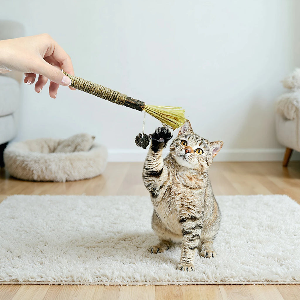 Silvervine Cat Sticks with Hemp Rope, Natural Wood Pet Play Toys for Supervised Indoor Exploration and Interactive Sessions, Pack Options from 3 to 20 Pieces