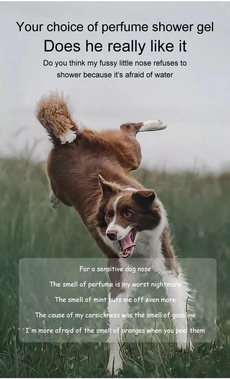 Pet Shampoo for Bath-Time Grooming, Dog 500ml and Cat 500ml Options Plus a 100ml Pet Shampoo Choice for At-Home Coat Cleaning Routines