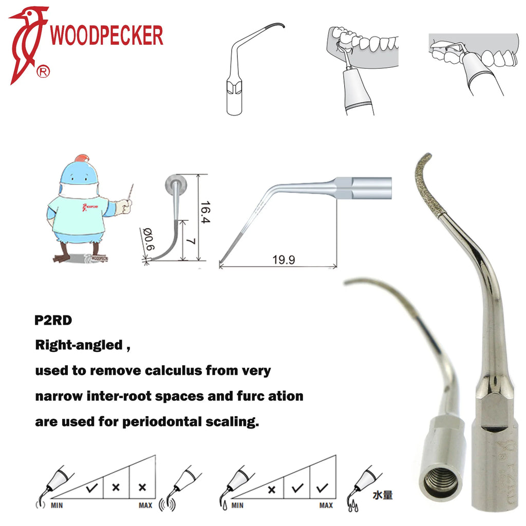 Ultrasonic Scaler Handpiece and Tip Options by Woodpecker, HW-5L LED Handpiece or P, E and G Series Tips for Compatible Dental Equipment