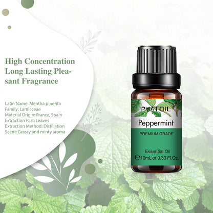 10ml Aroma Oil by PHATOIL for Compatible Diffusers and Home Fragrance, Amber Bottle with Lavender, Eucalyptus, Vanilla, Peppermint and Other Scent Options