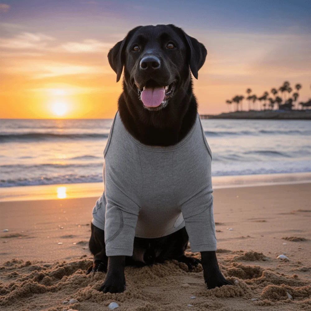 Dog Leg Sleeve in Grey Polyester, Single Stretch Fabric Pet Leg Cover with Six Size Options from S to 3XL and Chest, Neck and Sleeve Measurement Guide
